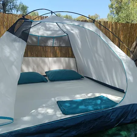 Olive Camping * Borsh