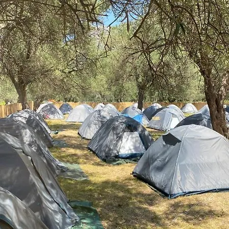 Olive Camping Borsh