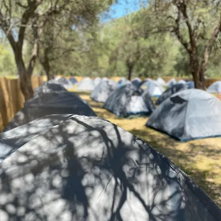 Campsite Olive Camping *