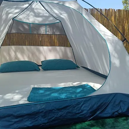 Olive Camping