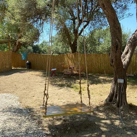 Olive Camping