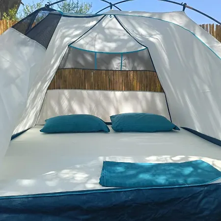 Campsite Olive Camping Borsh