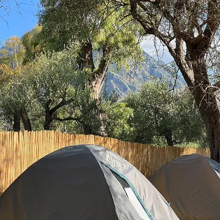 Campsite Olive Camping *
