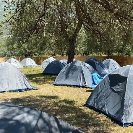 Campsite Olive Camping