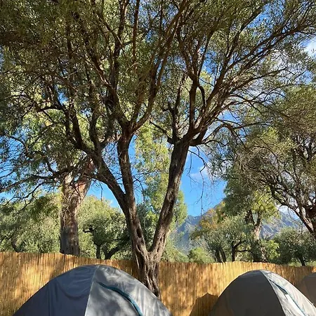 Campsite Olive Camping *