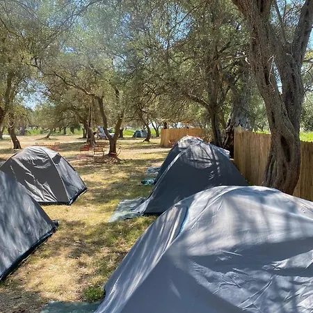 Olive Camping Campsite *