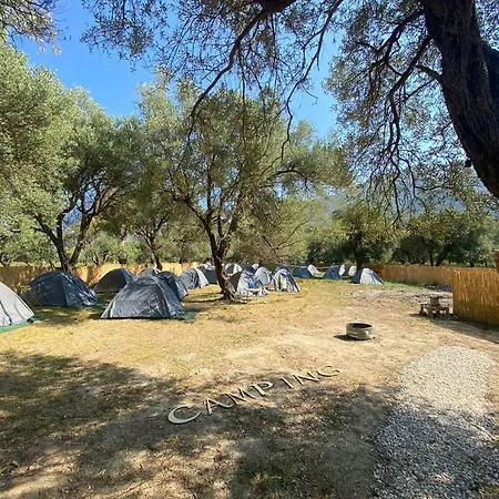 Campsite Olive Camping