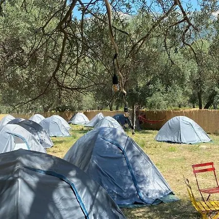 Campsite Olive Camping *