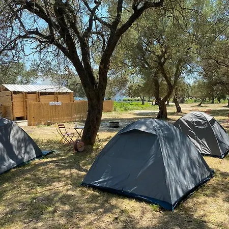 Campsite Olive Camping