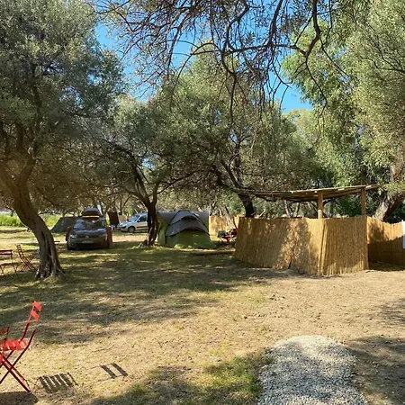 Campsite Olive Camping *