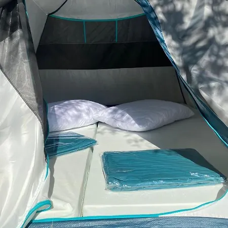 Olive Camping * Borsh