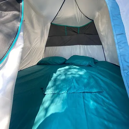 Campsite Olive Camping *